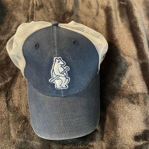 Chicago Cubs Blue and White Bear Logo Cap